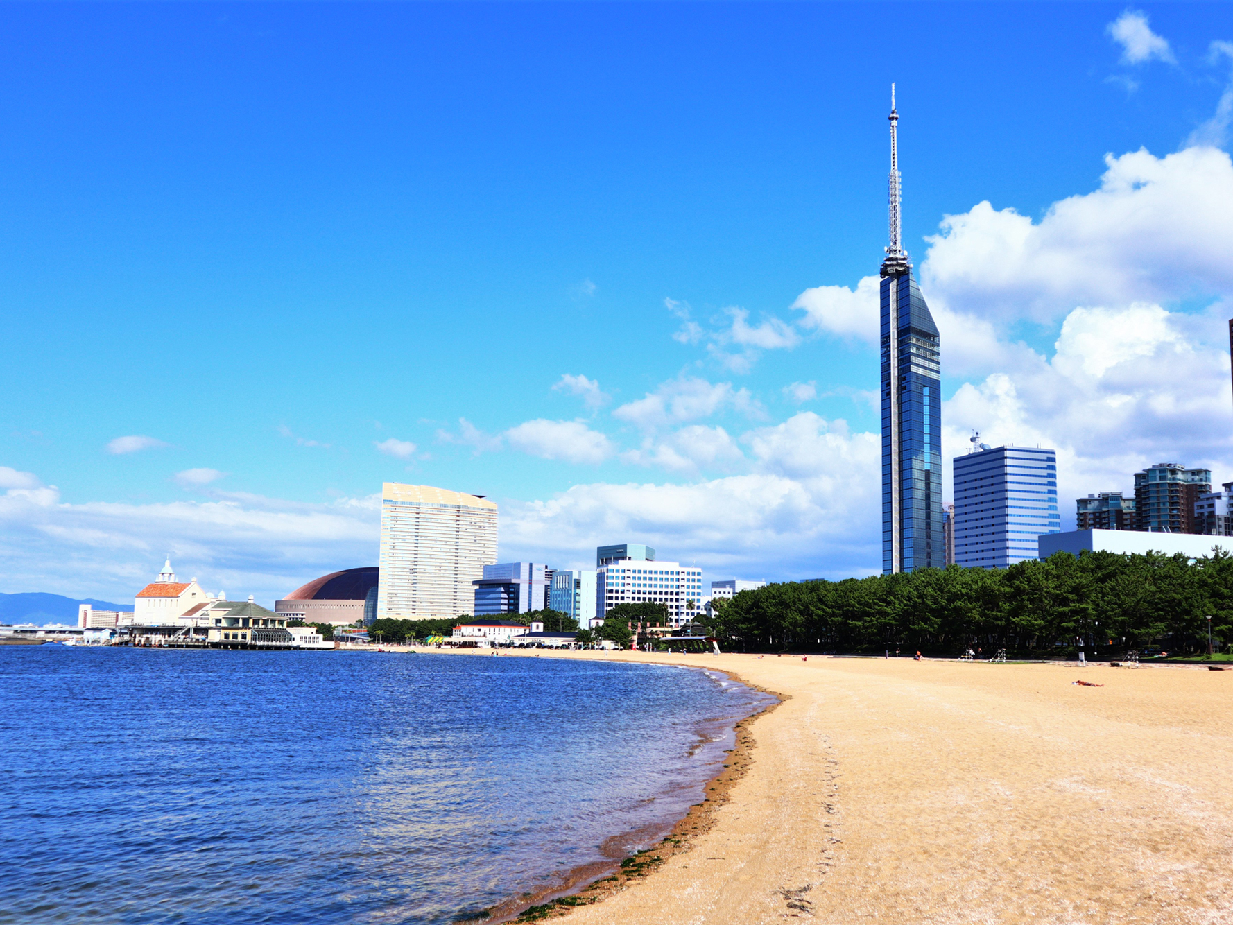 観光データを活用したリサーチ、マーケティング・観光DXの推進を担う中核人材【任期付き職員（管理職）】を募集！