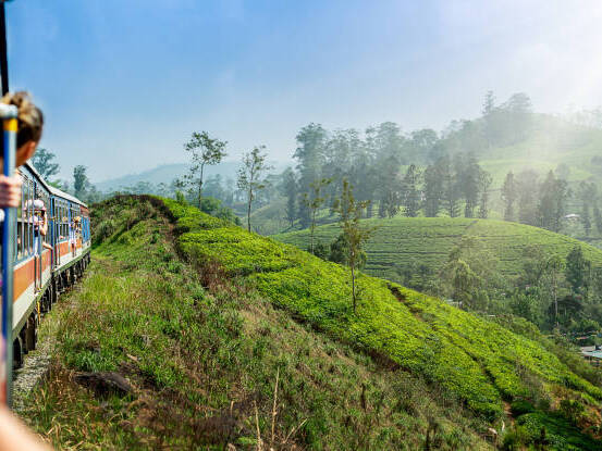 【総合旅行業務取扱管理者】実務未経験・ブランク歓迎!外部専門家のサポートあり◎スリランカ×ITの新規事業を支える初期メンバー募集